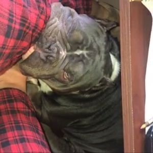 Meet your Posher, Chloe